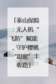 泰山保险：无人机“飞防”赋能，守护樱桃“甜蜜”丰收路