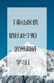 泰山区供销社赴宁阳、滨州调研学习