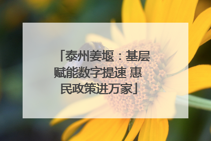 泰州姜堰：基层赋能数字提速 惠民政策进万家