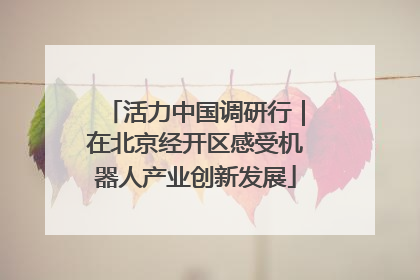 活力中国调研行｜在北京经开区感受机器人产业创新发展