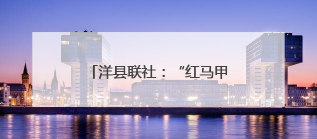 洋县联社：“红马甲”点亮银发餐厅 金融暖延伸惠民末梢