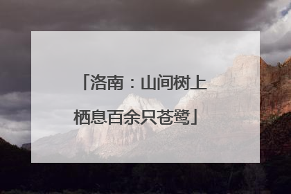 洛南：山间树上栖息百余只苍鹭