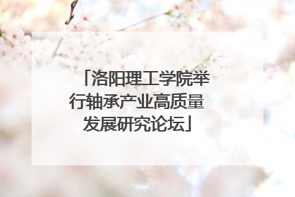 洛阳理工学院举行轴承产业高质量发展研究论坛