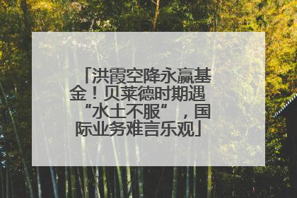 洪霞空降永赢基金！贝莱德时期遇“水土不服”，国际业务难言乐观