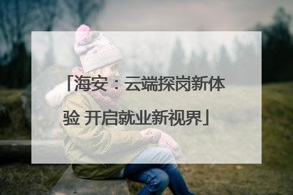 海安：云端探岗新体验 开启就业新视界