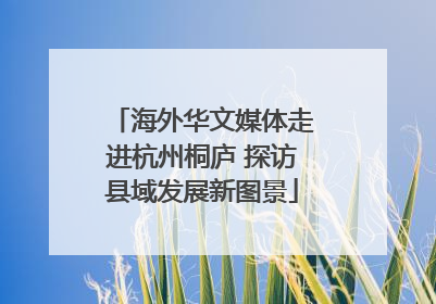 海外华文媒体走进杭州桐庐 探访县域发展新图景