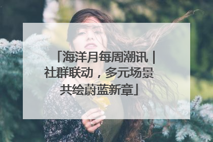 海洋月每周潮讯｜社群联动，多元场景共绘蔚蓝新章