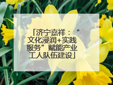 济宁嘉祥：“文化浸润+实践服务”赋能产业工人队伍建设