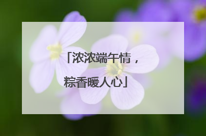 浓浓端午情，粽香暖人心