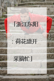 浙江东阳：荷花盛开采摘忙