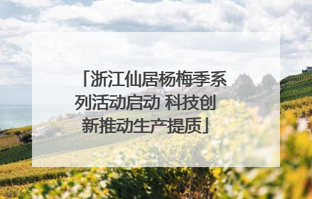 浙江仙居杨梅季系列活动启动 科技创新推动生产提质