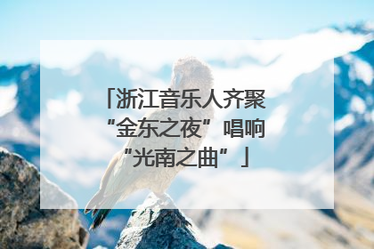 浙江音乐人齐聚“金东之夜”唱响“光南之曲”