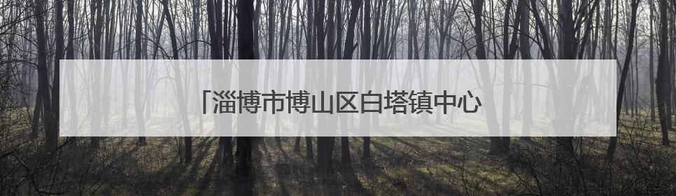 淄博市博山区白塔镇中心学校开展数学特色活动