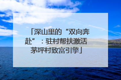 深山里的“双向奔赴”：驻村帮扶激活茅坪村致富引擎
