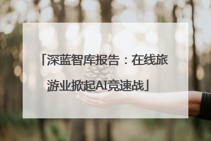 深蓝智库报告：在线旅游业掀起AI竞速战