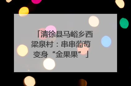 清徐县马峪乡西梁泉村：串串葡萄变身“金果果”