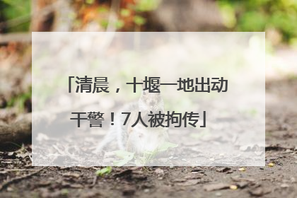 清晨，十堰一地出动干警！7人被拘传