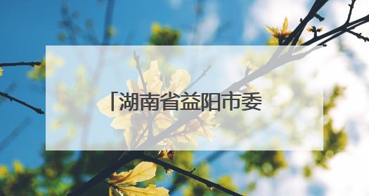 湖南省益阳市委书记陈竞督导检查全市防汛工作