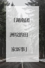 湖南团洲垸的田家新事