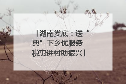 湖南娄底：送“典”下乡优服务 税惠进村助振兴