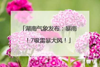 湖南气象发布：暴雨！7级雷暴大风！
