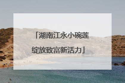 湖南江永小碗莲绽放致富新活力