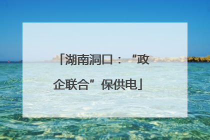 湖南洞口：“政企联合”保供电