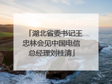 湖北省委书记王忠林会见中国电信总经理刘桂清