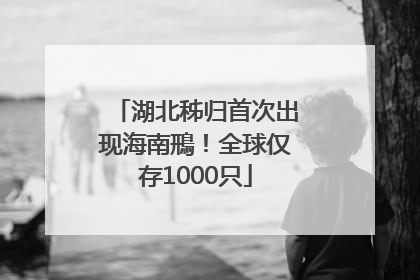 湖北秭归首次出现海南鳽！全球仅存1000只