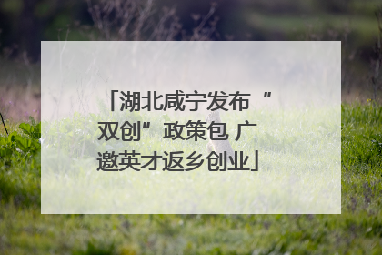 湖北咸宁发布“双创”政策包 广邀英才返乡创业