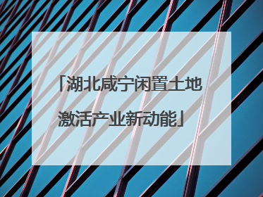 湖北咸宁闲置土地激活产业新动能