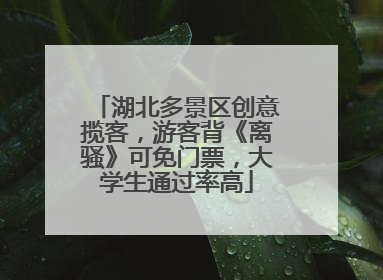 湖北多景区创意揽客，游客背《离骚》可免门票，大学生通过率高