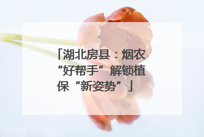 湖北房县：烟农“好帮手”解锁植保“新姿势”