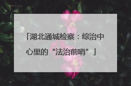 湖北通城检察：综治中心里的“法治前哨”