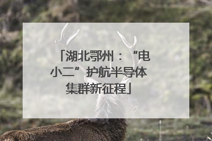 湖北鄂州：“电小二”护航半导体集群新征程