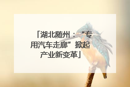 湖北随州：“专用汽车走廊”掀起产业新变革