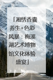 湘绣香囊养生+色彩风暴：梅溪湖艺术博物馆文化体验盛宴