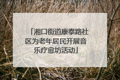 湘口街道康泰路社区为老年居民开展音乐疗愈坊活动