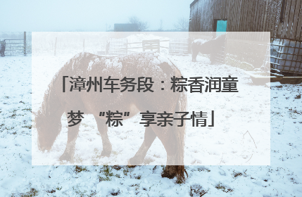 漳州车务段：粽香润童梦 “粽”享亲子情