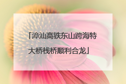 漳汕高铁东山跨海特大桥栈桥顺利合龙