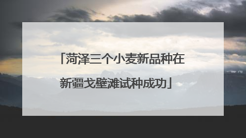 菏泽三个小麦新品种在新疆戈壁滩试种成功