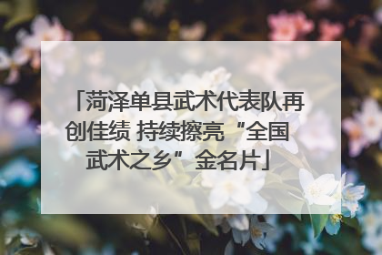 菏泽单县武术代表队再创佳绩 持续擦亮“全国武术之乡”金名片