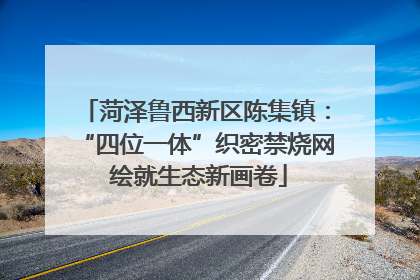 菏泽鲁西新区陈集镇：“四位一体”织密禁烧网 绘就生态新画卷