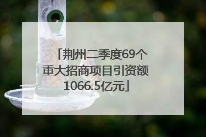 荆州二季度69个重大招商项目引资额1066.5亿元