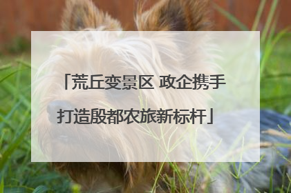 荒丘变景区 政企携手打造殷都农旅新标杆