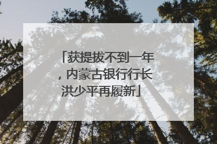 获提拔不到一年，内蒙古银行行长洪少平再履新