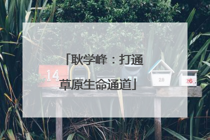 耿学峰：打通草原生命通道