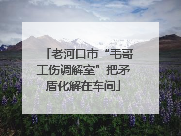 老河口市“毛哥工伤调解室”把矛盾化解在车间