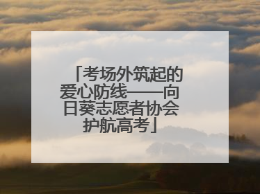 考场外筑起的爱心防线——向日葵志愿者协会护航高考