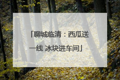 聊城临清：西瓜送一线 冰块进车间